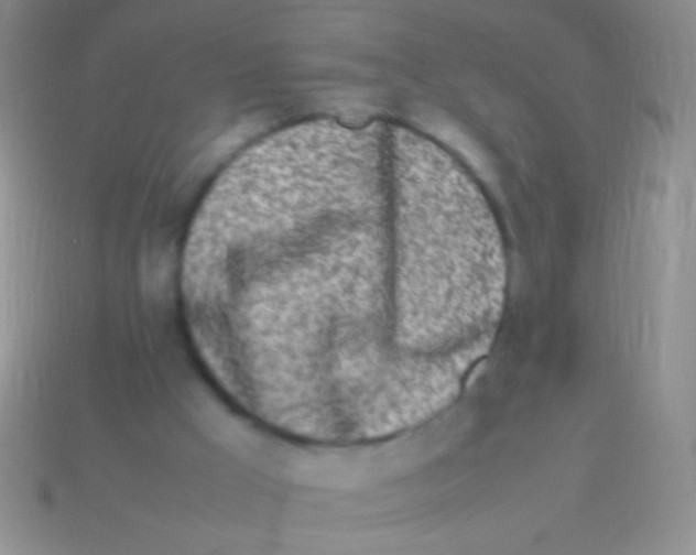 X0000113620009200910162003