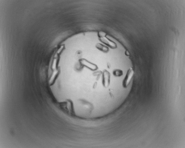X0000113620010200910162003