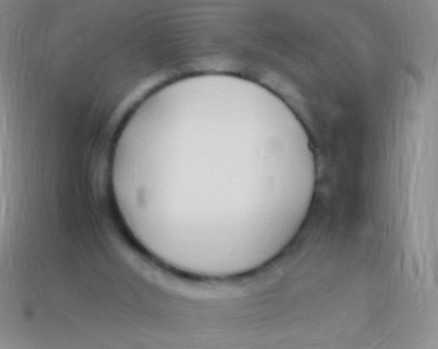 X0000113620012200910162003