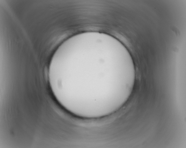 X0000113620013200910162003