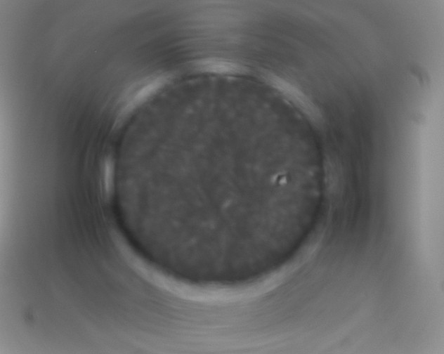 X0000113620014200910162003