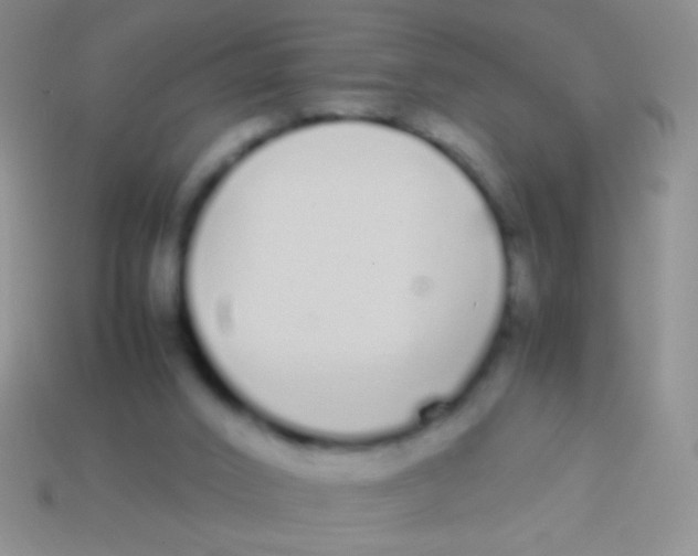 X0000113620016200910162003