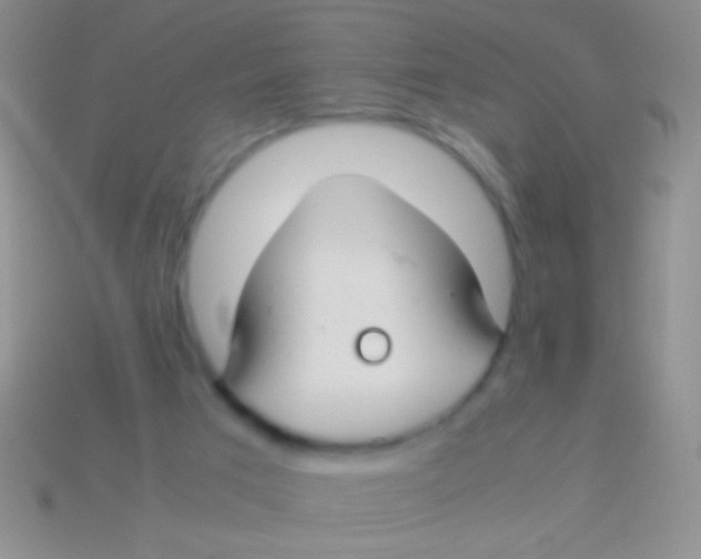 X0000113620017200910162003