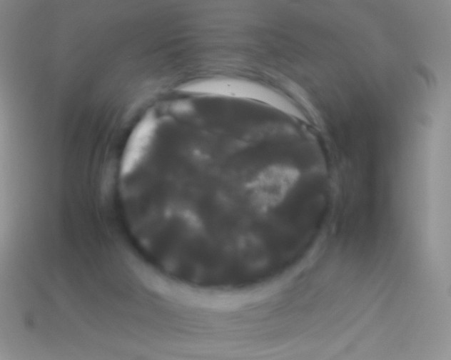 X0000113620018200910162003