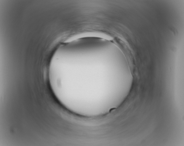 X0000113620019200910162003