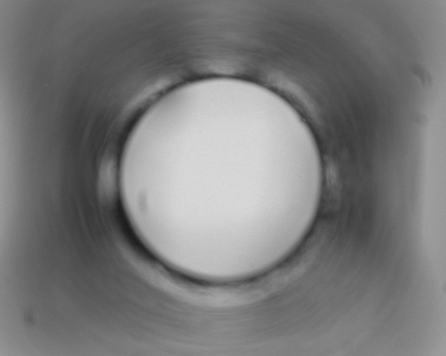 X0000113620020200910162003