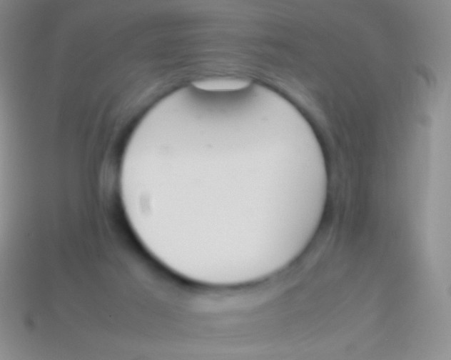 X0000113620021200910162003