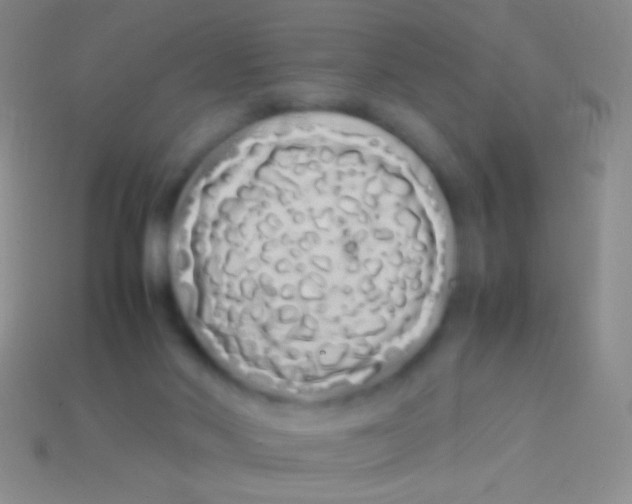 X0000113620022200910162003