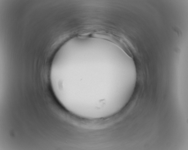 X0000113620023200910162003