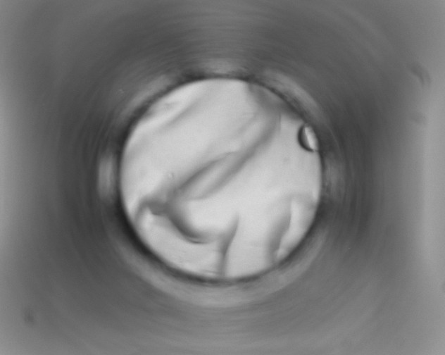 X0000113620024200910162003