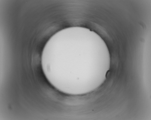 X0000113620025200910162003
