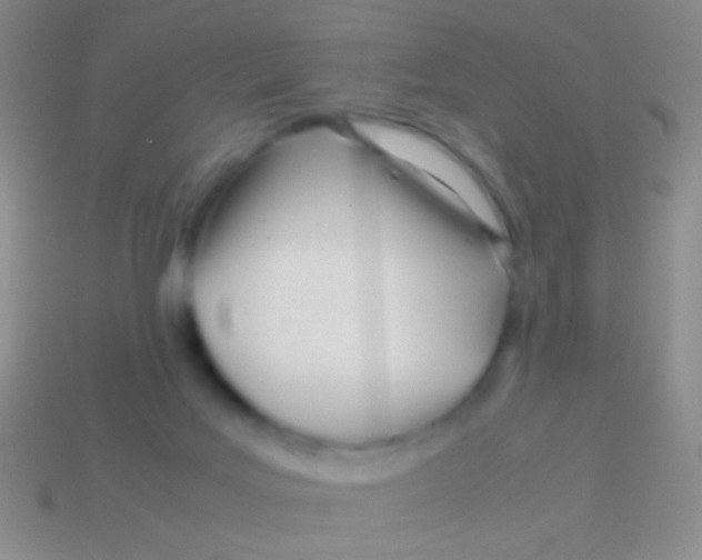 X0000113620027200910162003