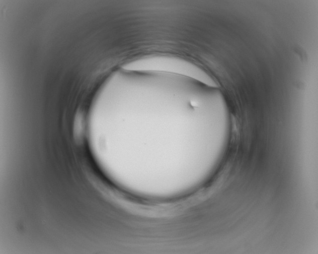 X0000113620028200910162003