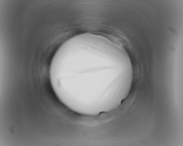 X0000113620029200910162003