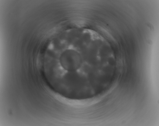 X0000113620030200910162003
