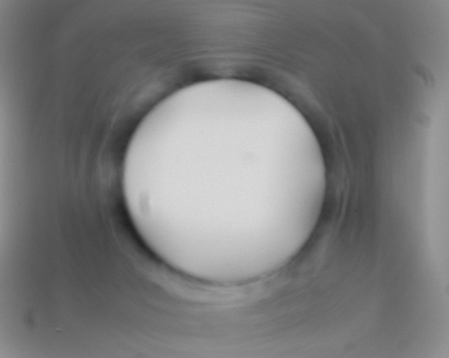 X0000113620031200910162003