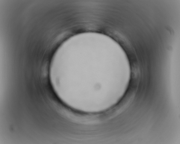 X0000113620032200910162003