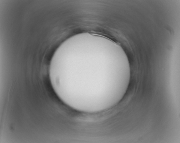 X0000113620033200910162003