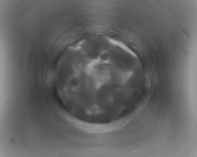 X0000113620034200910162003