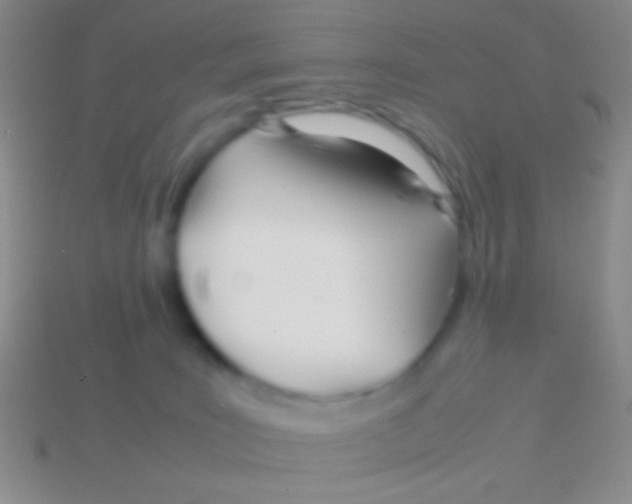 X0000113620035200910162003