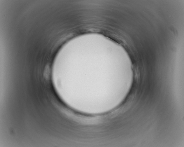 X0000113620036200910162003