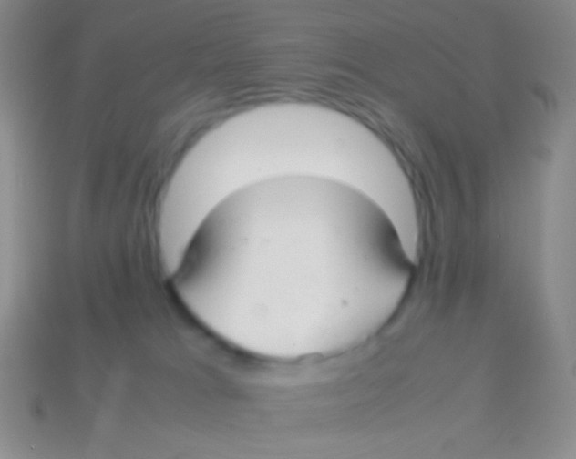 X0000113620037200910162003
