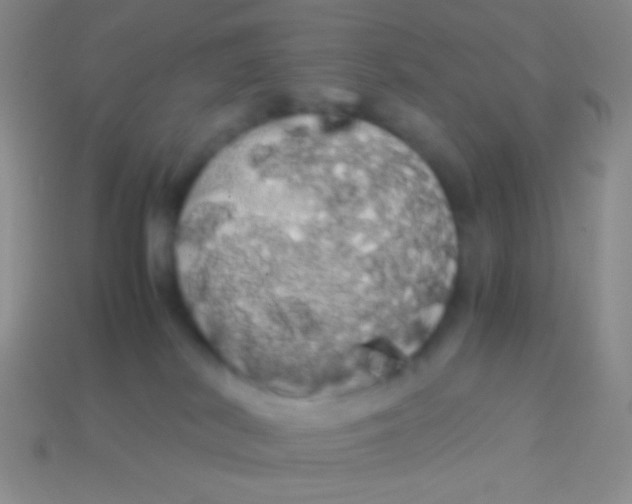 X0000113620038200910162003