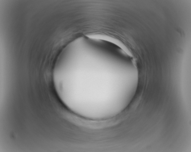 X0000113620039200910162003