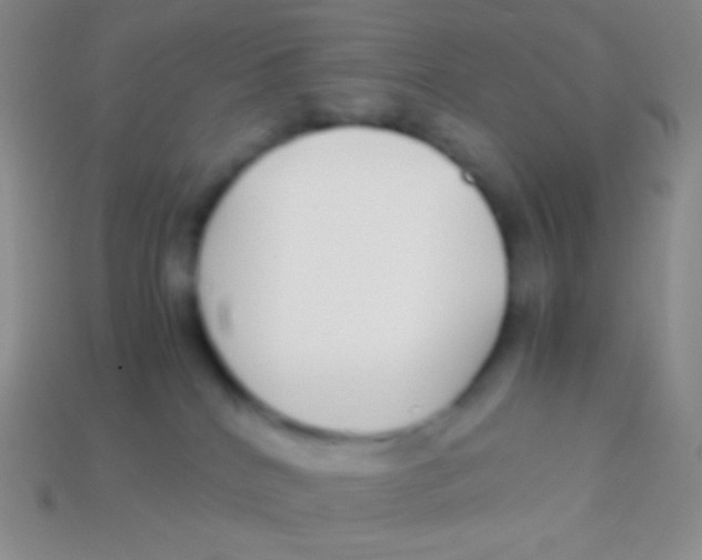 X0000113620040200910162003