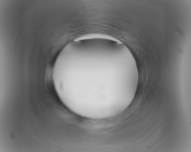 X0000113620041200910162003