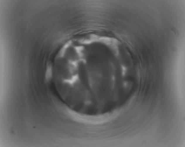 X0000113620042200910162003