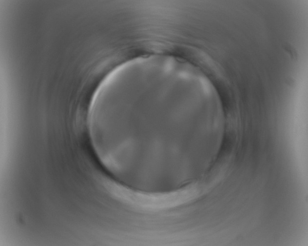 X0000113620043200910162003