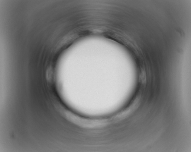 X0000113620044200910162003