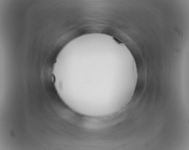 X0000113620045200910162003