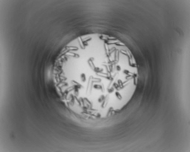 X0000113620046200910162003