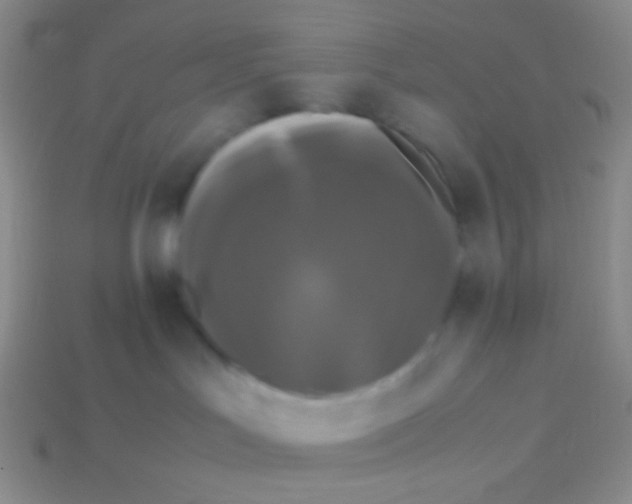 X0000113620047200910162003