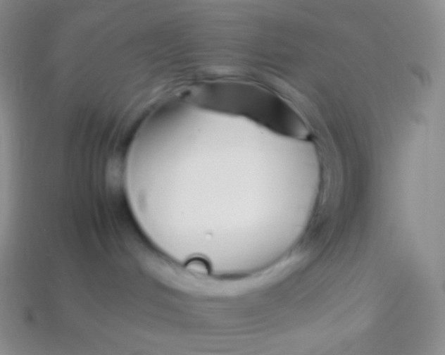 X0000113620048200910162003