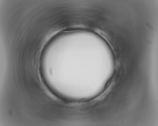 X0000113620049200910162002