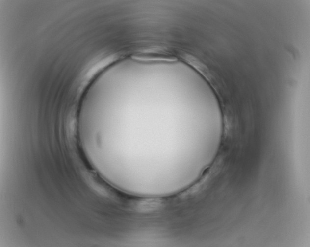 X0000113620050200910162002
