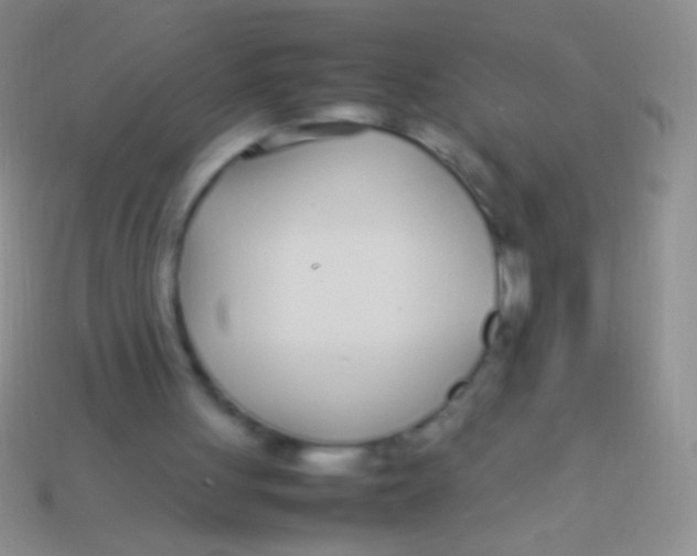 X0000113620051200910162002