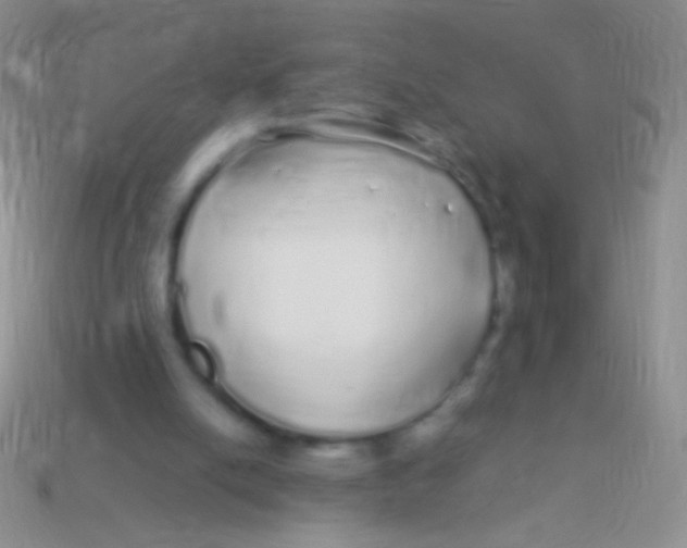 X0000113620054200910162002