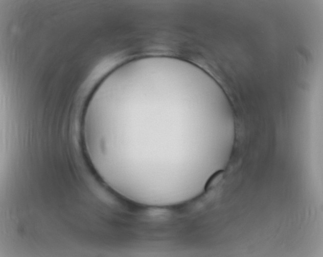X0000113620055200910162002