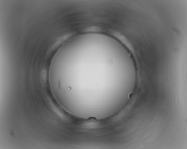X0000113620057200910162002