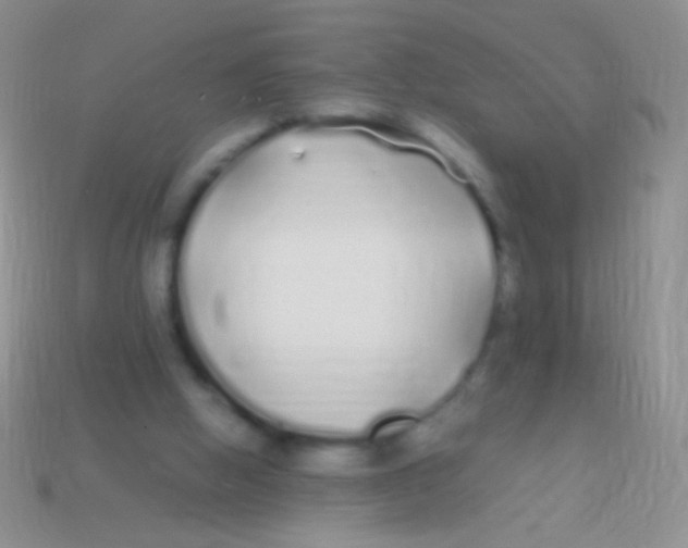 X0000113620058200910162002