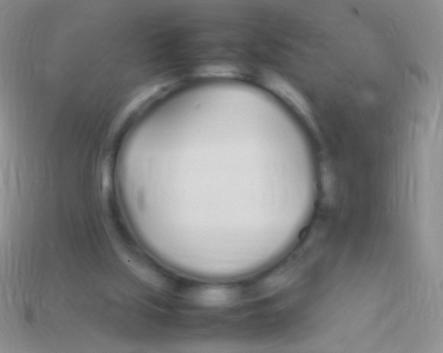 X0000113620059200910162002