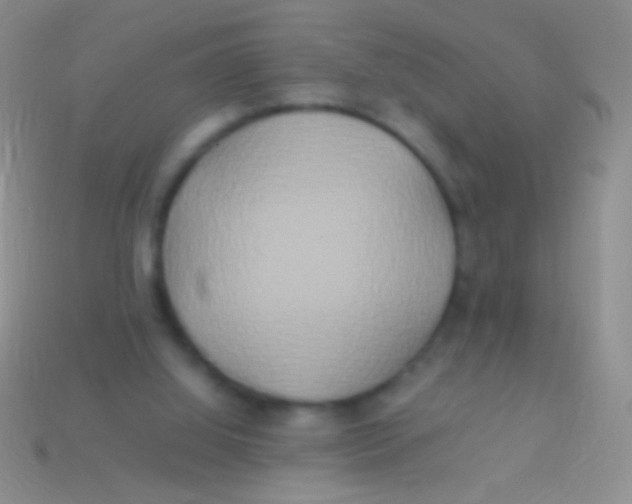 X0000113620060200910162002