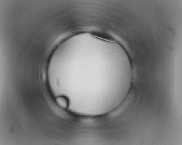 X0000113620062200910162002