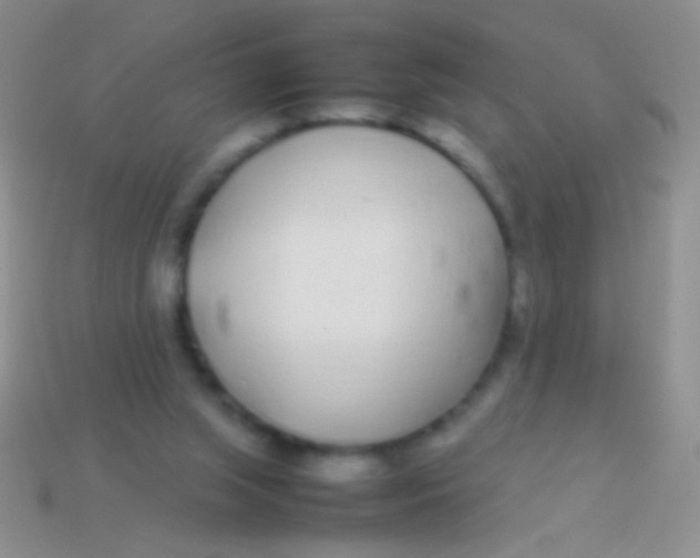 X0000113620063200910162002