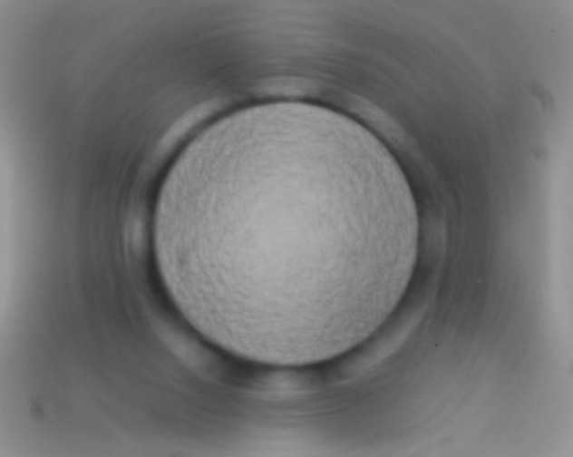 X0000113620064200910162002