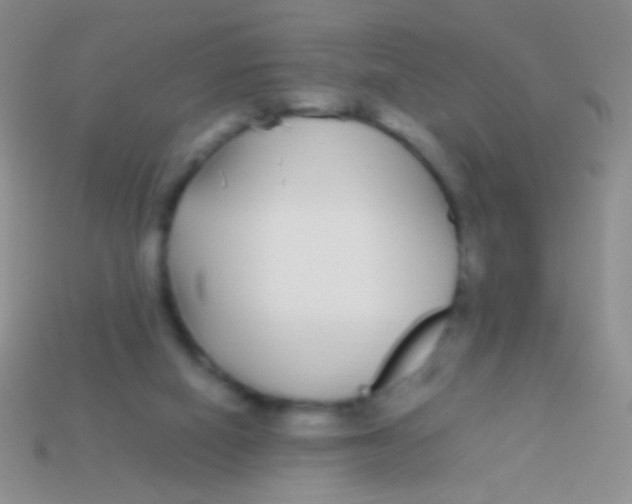 X0000113620066200910162002